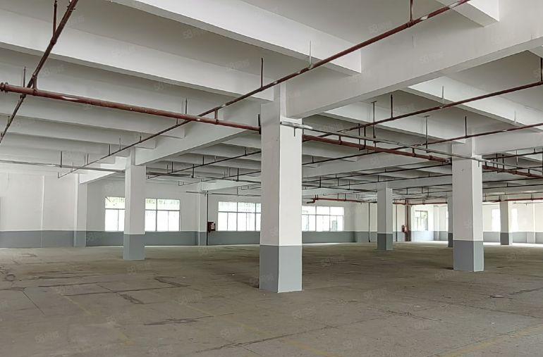 原房东直租坪山龙田莹展大型工业园3楼3400平高4.8米