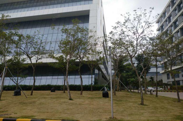 坪山生物基地新出楼上1500平方现成装修办公室仓库厂房出租