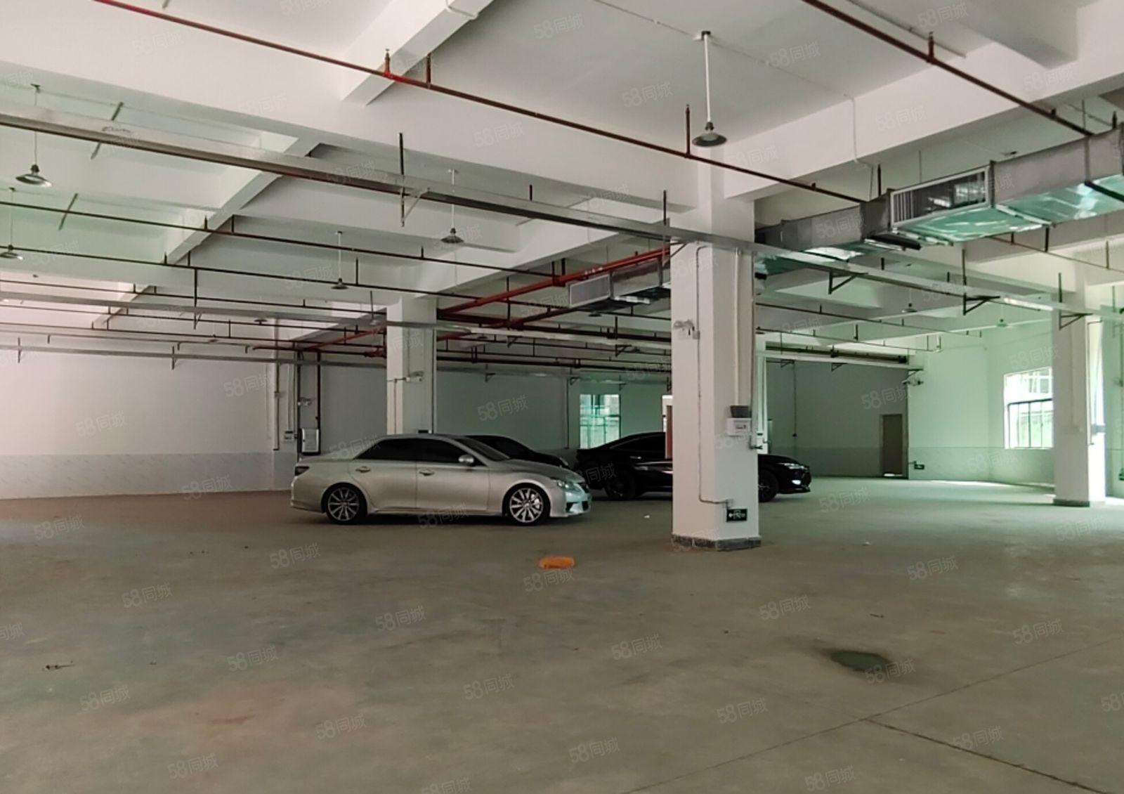 坪山石井独院一楼600平，带消防喷淋有红本，实际面积出租