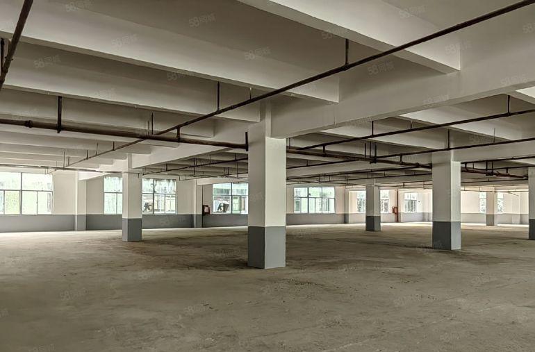 原房东直租坪山龙田莹展大型工业园3楼3400平高4.8米