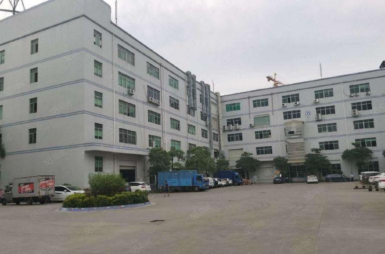 坪山坑梓新出500平至5000平 独院厂房仓库出租可分租