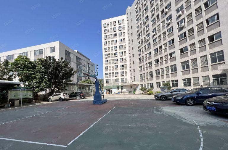 坪山原房东独院单层面积4000平方厂房出租主干道形象好易招工