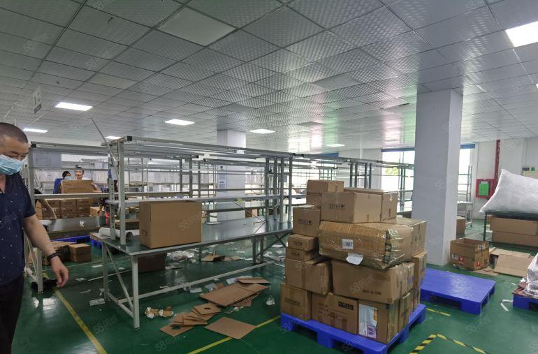 免租期6个月坑梓原房东红本厂房独门独院，带装修合同期长