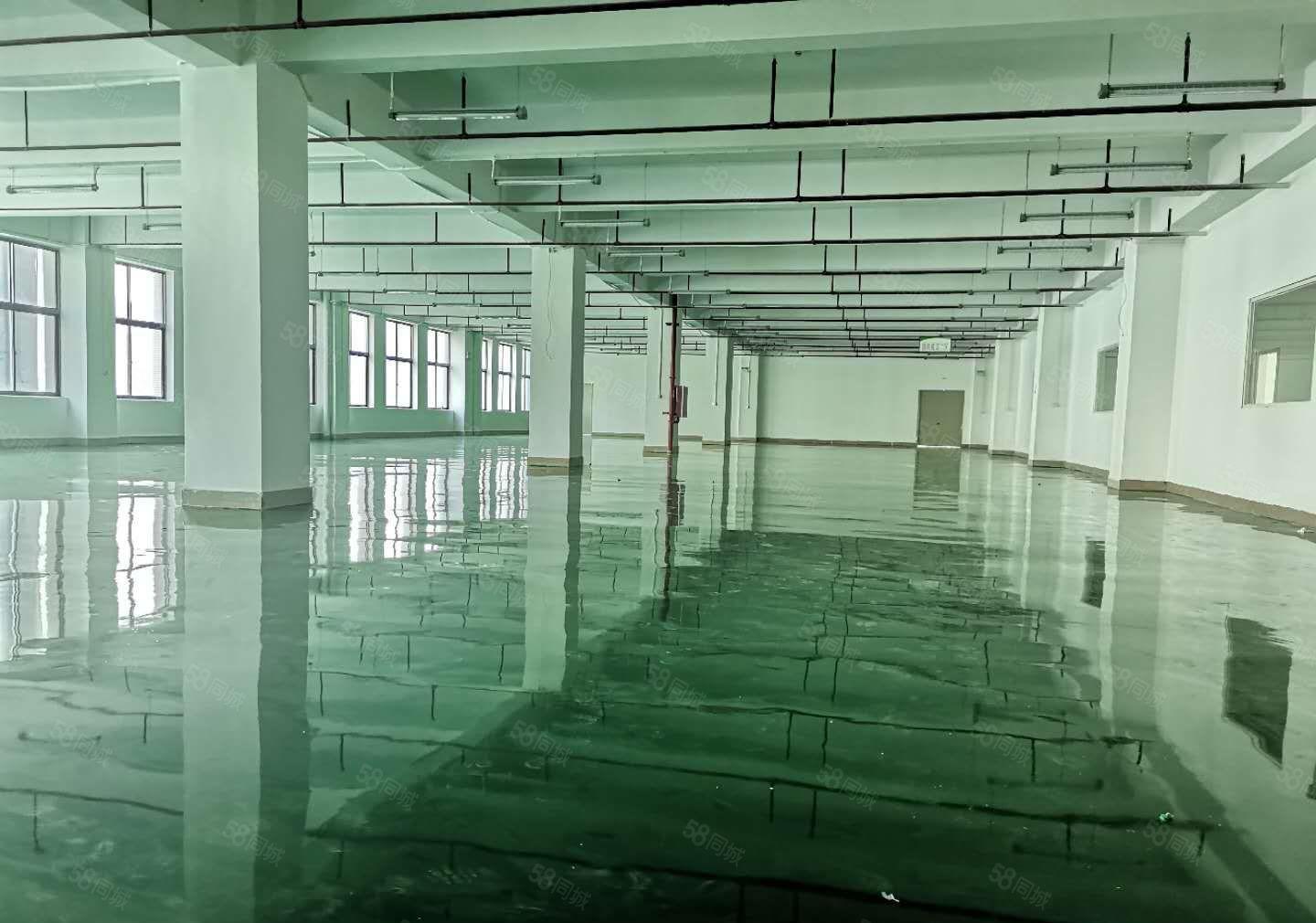 深圳坪山原房东红本厂房出租3楼整层1500平方米，形象好