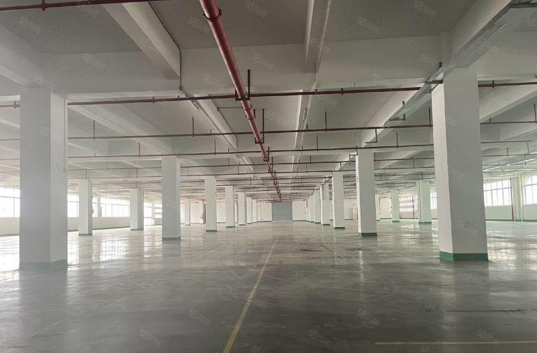 现成水电 大工业区楼上4000平精装修现成办公室厂房低价出租