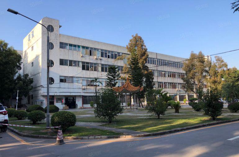 原房东，坪山坑梓新出一楼1000平带行吊仓库办公室厂房出租