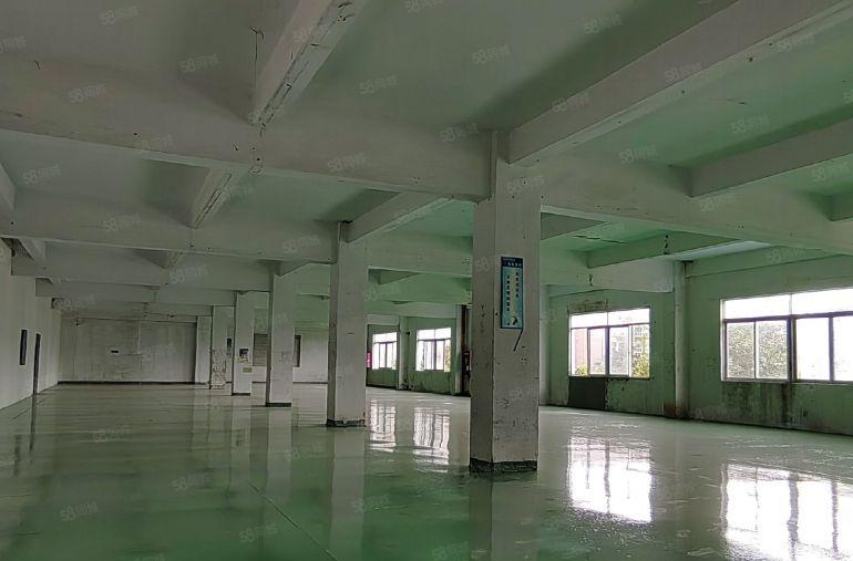 200平起分租坪山金田路石井地铁口独院二楼900平高4.2米