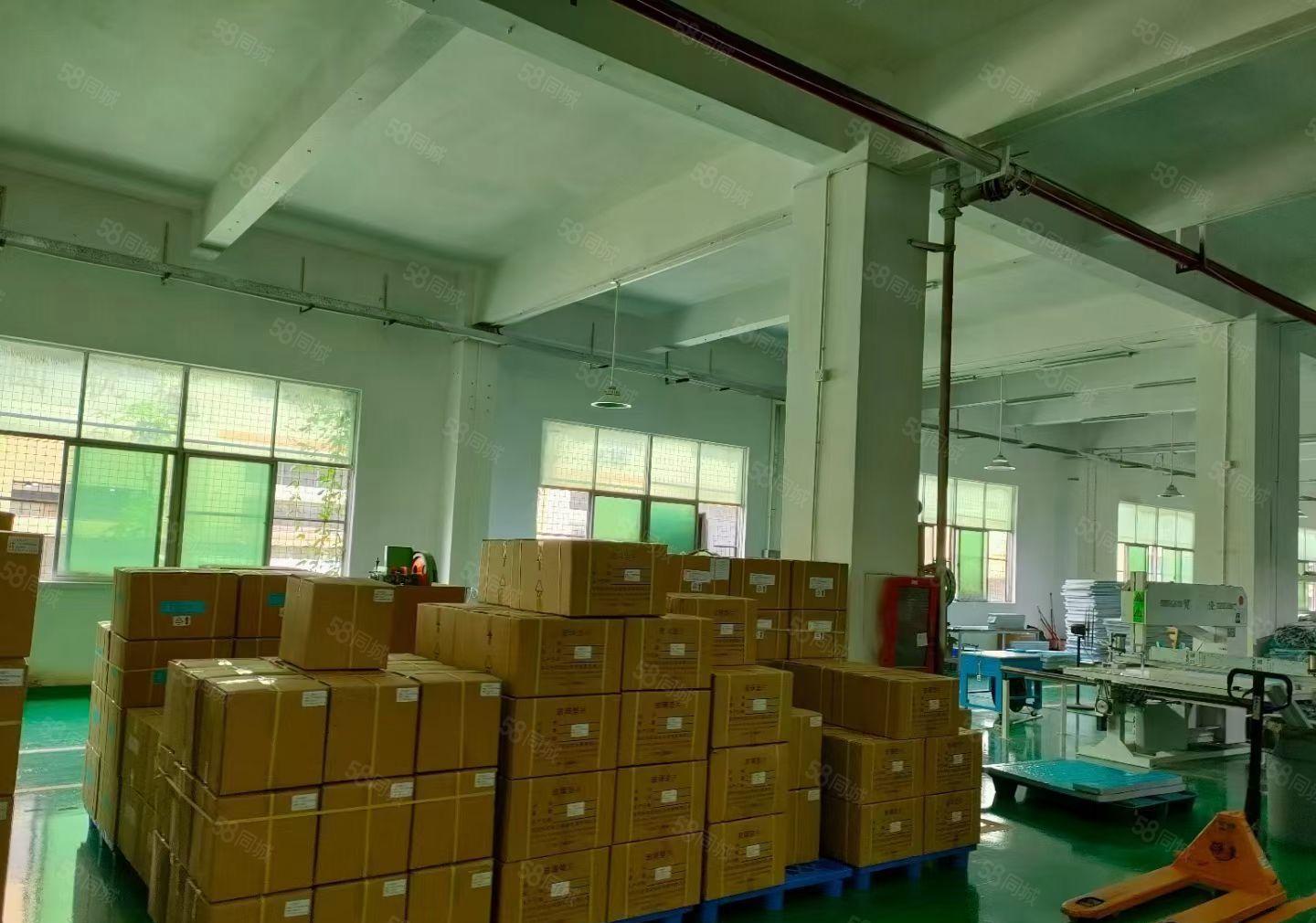 业主直租坪山中心工业区1楼1000平红本仓库厂房实际面积出租