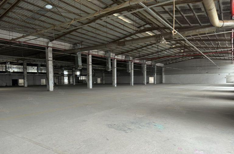 坪山外环原房东独院钢构厂房9米高钢构实际面积出租3000平