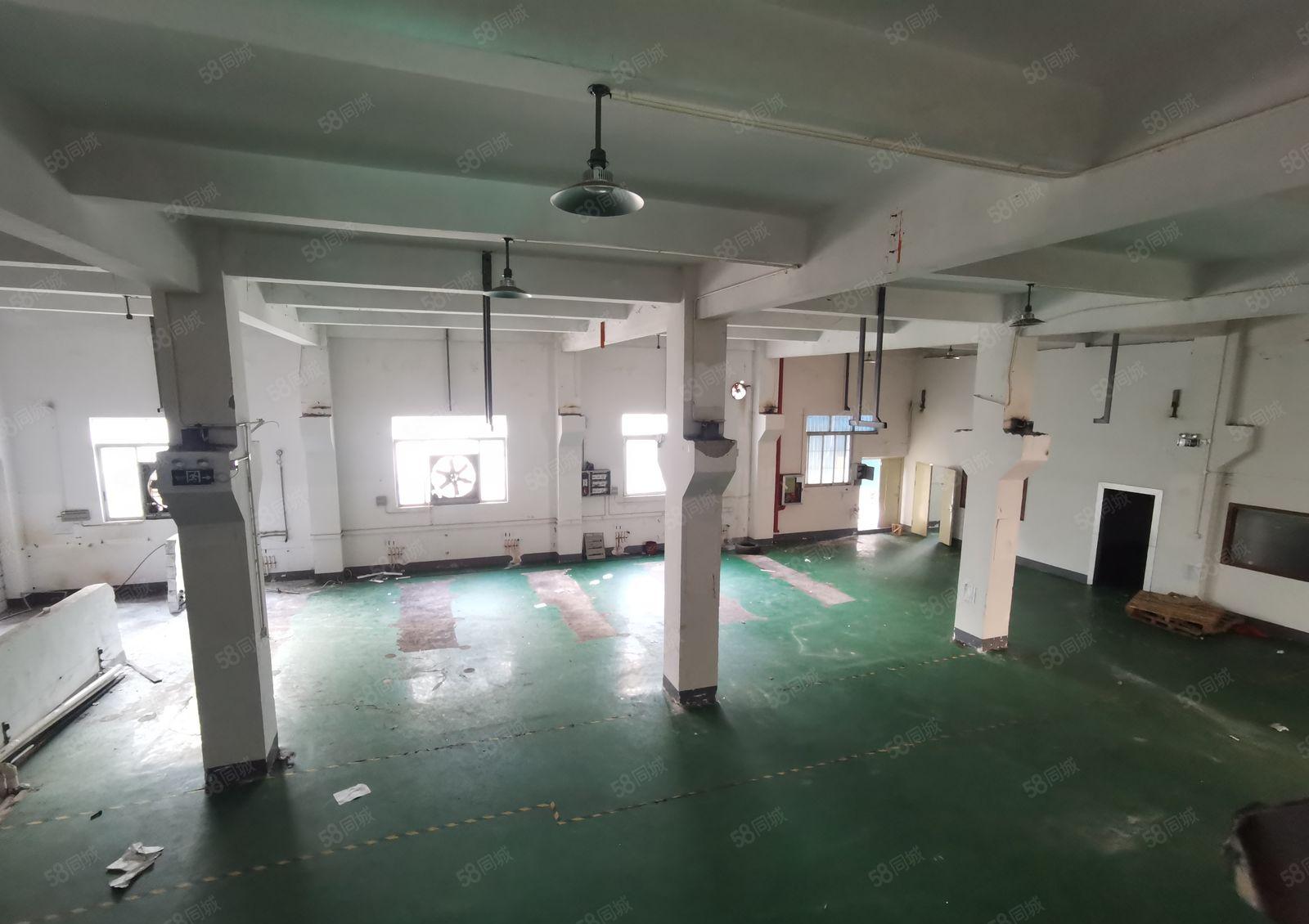 大园区一楼580平，现成办公室，带装修！