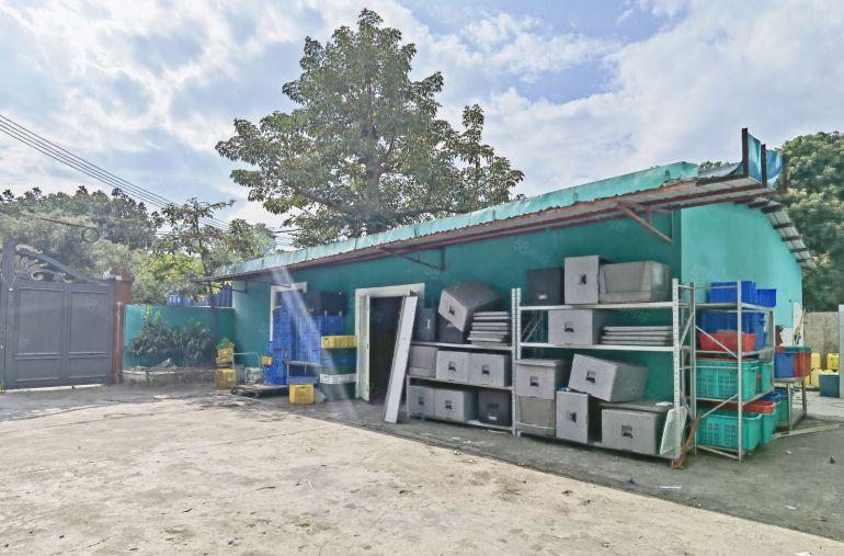 南山西丽独门独院1650平，现成中央厨房，无转让费