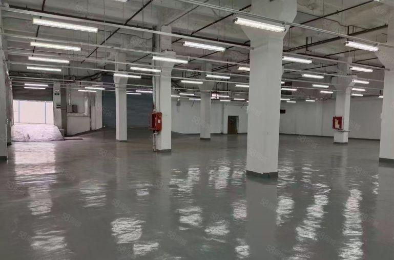 南油一楼层高6.5米特价55出租面积1750平