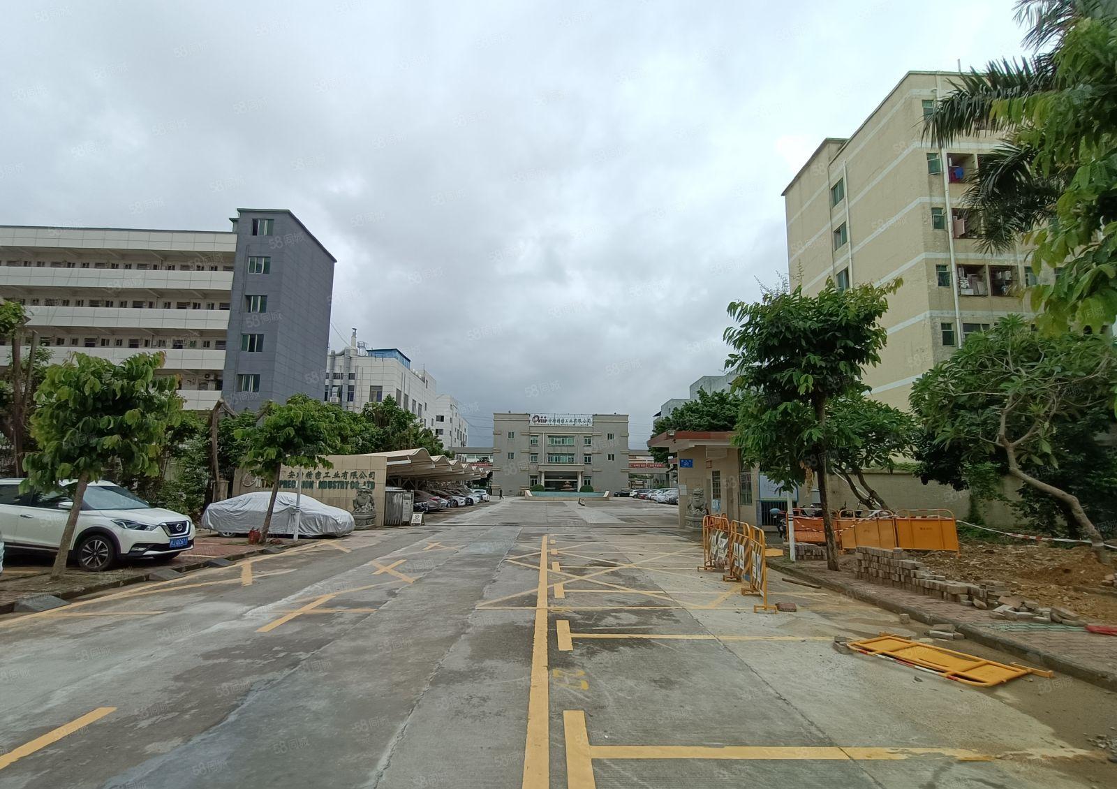 福海国际会展中心6816平方米全新村委厂房业主直租带超大空地