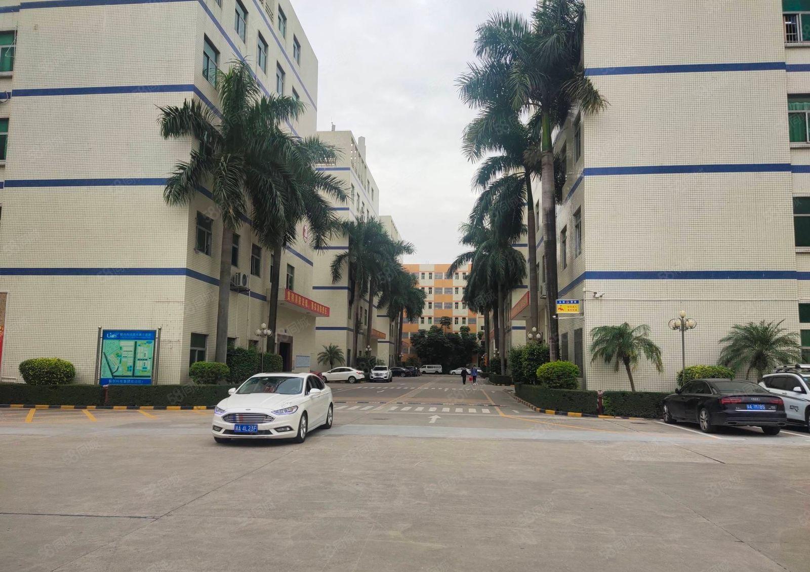 西丽一楼350平至5000平精装办公室电商仓库厂房出租