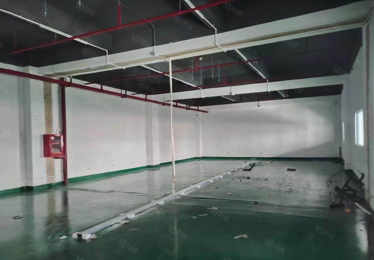 白芒关口2楼2890平米原房东带装修厂房出租