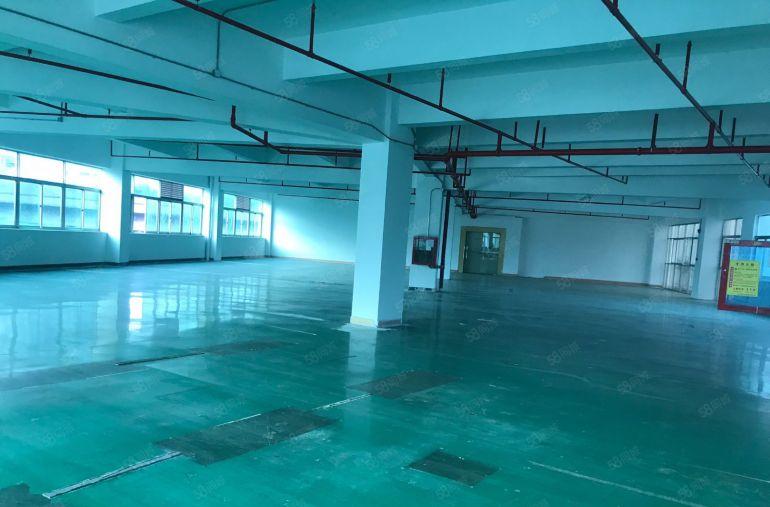 八卦岭科技园200平400平600平1000平厂房出租