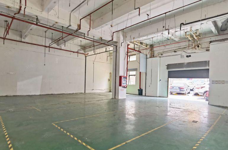 南山西丽，新出一楼315平，层高5.5米，可组合650平