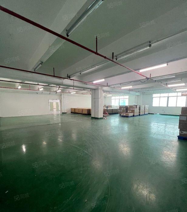 租金32元大小面积500平至4千平 南山西丽白芒 百旺阳光