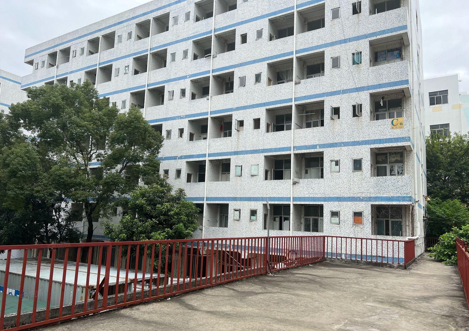 盐田附近大量宿舍楼出租50间100间带家私低价出租工程项目部