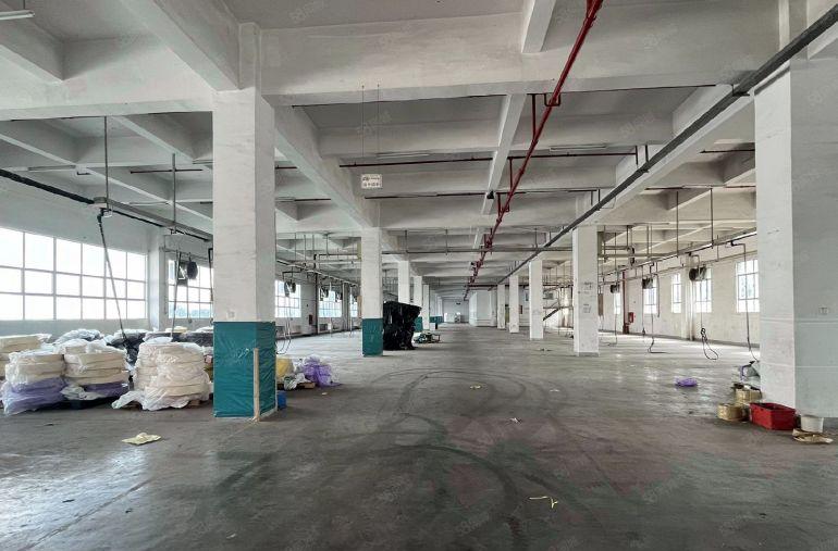 新出红本厂房出租，单层面积4280平方，可分租，多层空置可看