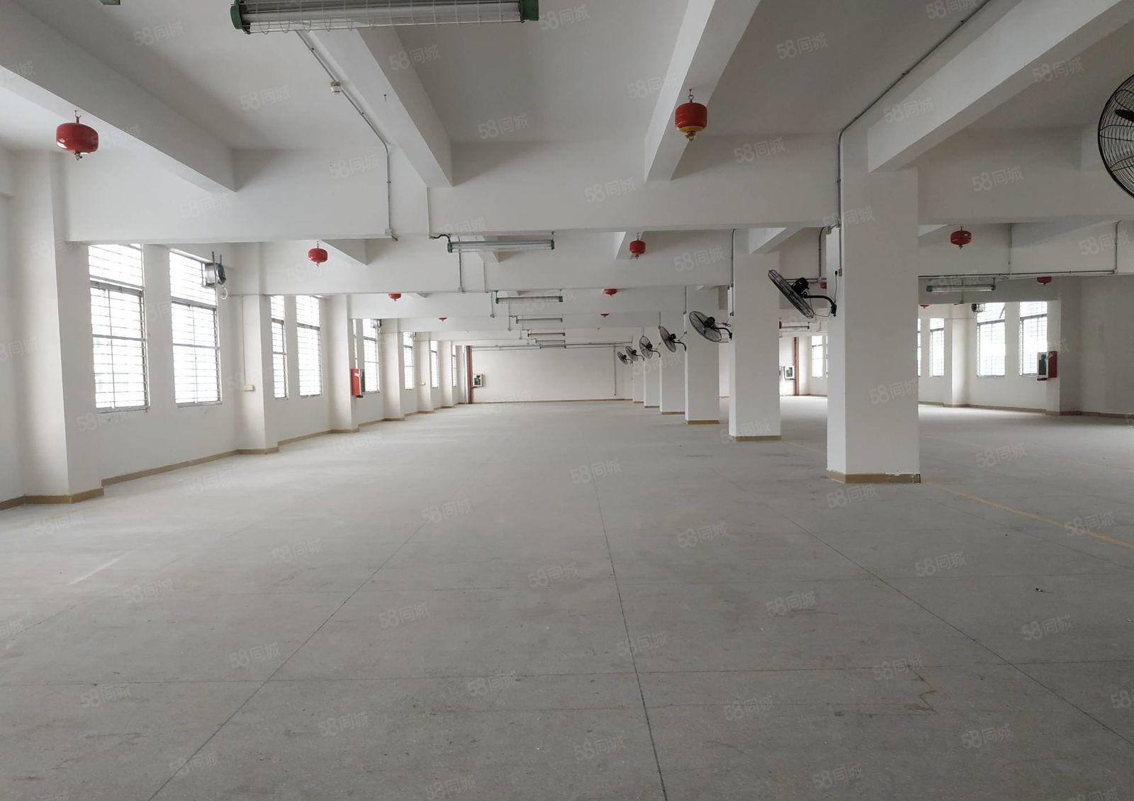 一手使用率 塘朗地鉄口 一楼整层1600平直租