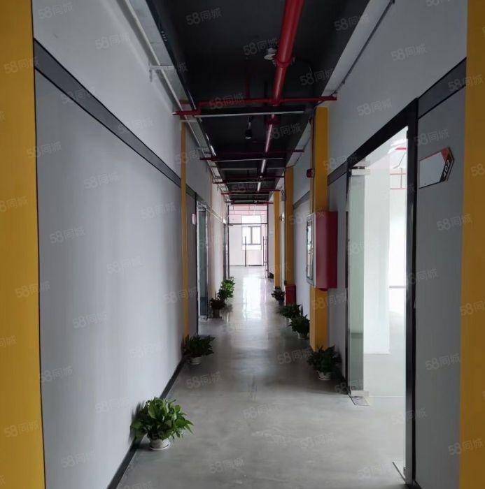 盐田港地铁口新出300平厂房，适合办公，仓库等