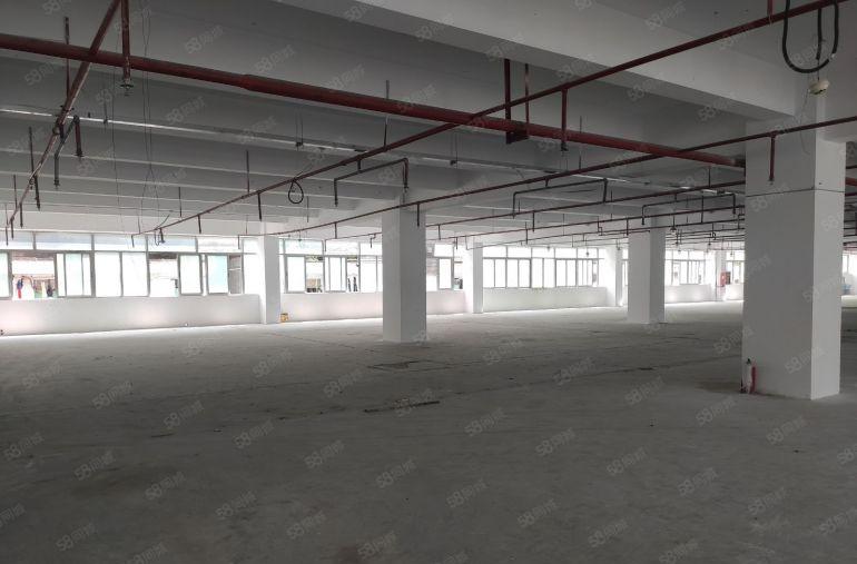 800平起租，布吉李朗高新科技园原房东1万平精装修厂房出租