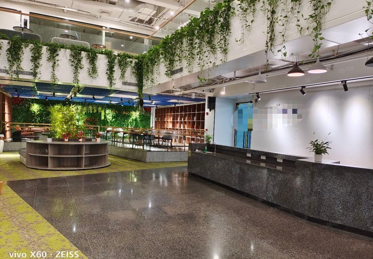 南山科技园1000平方直播电商贸易仓库写字楼厂房出租分租整租