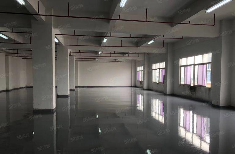 八卦岭带装修 仓库厂房出租200平 500平 1000平可分