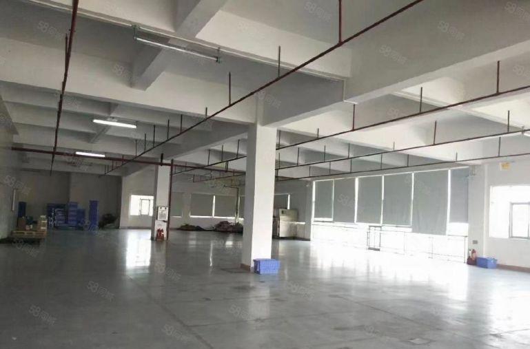 南山西丽工业区新出1000平标准厂房出租仓库招租大小面积可租