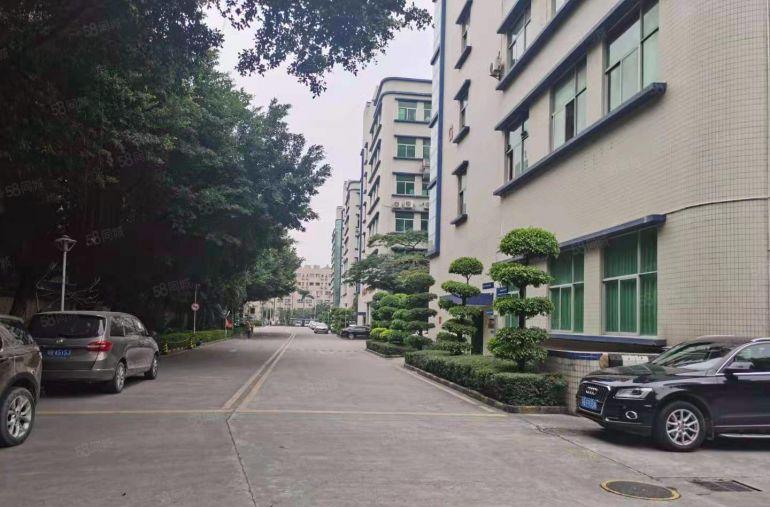 南山西丽原房东科技园新出楼上1000平带装修厂房出租 可分租