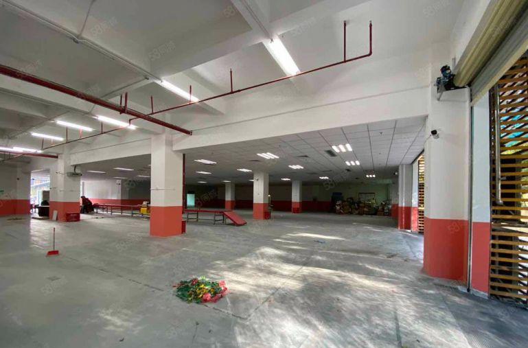 南山西丽大学城一楼1500平 可分租 行业不限