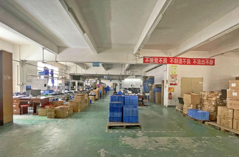 西丽独门独院整栋厂房4800平方 租金便宜