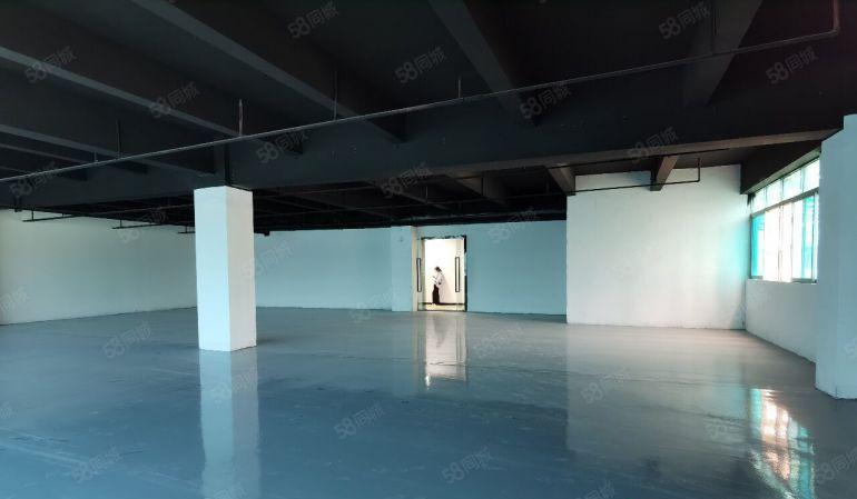 南山西丽高薪智能产业园500，1000平大小可分租，仅29元