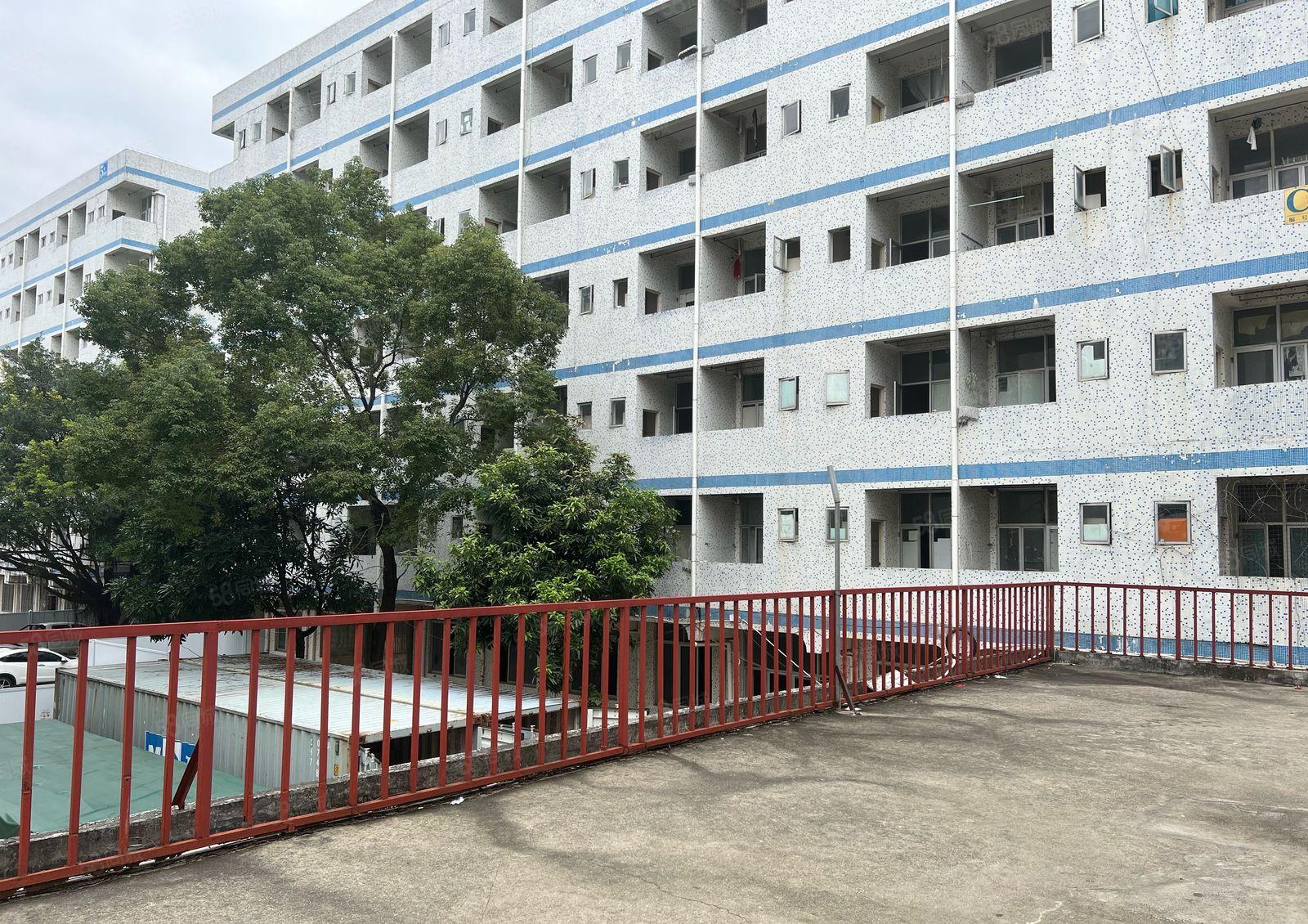 盐田附近大量宿舍楼出租50间100间带家私低价出租工程项目部