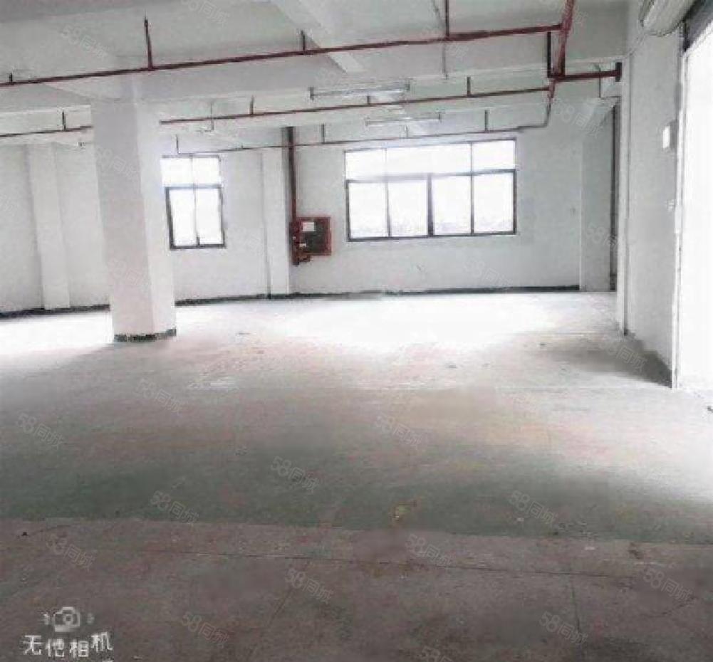 南山西丽创意园320平装修 一楼1100平350平带卸货平台