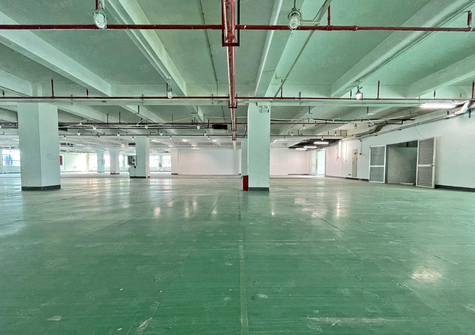 南山西丽 智能制造产业厂房2124平方 带装修 行业不限