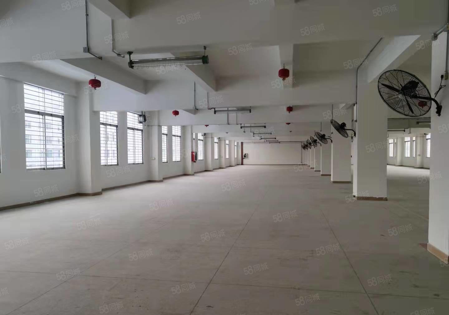 原房东独门独院每层1716平可分租，加工仓储办公等价格好谈