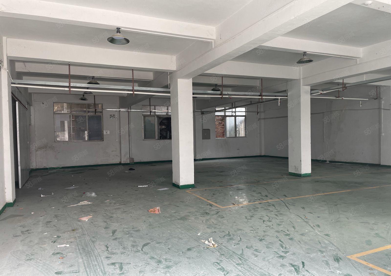 南山西丽独门独院 6200平大小可以分租看房随时方便