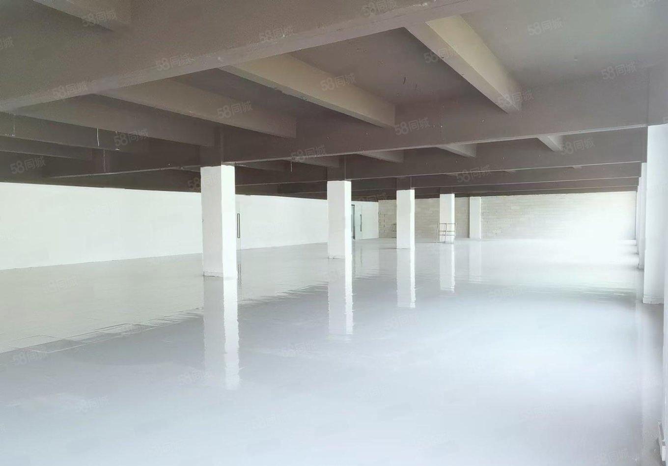 还价即租 临马路边590平230平起租带装修仓库研发办公等