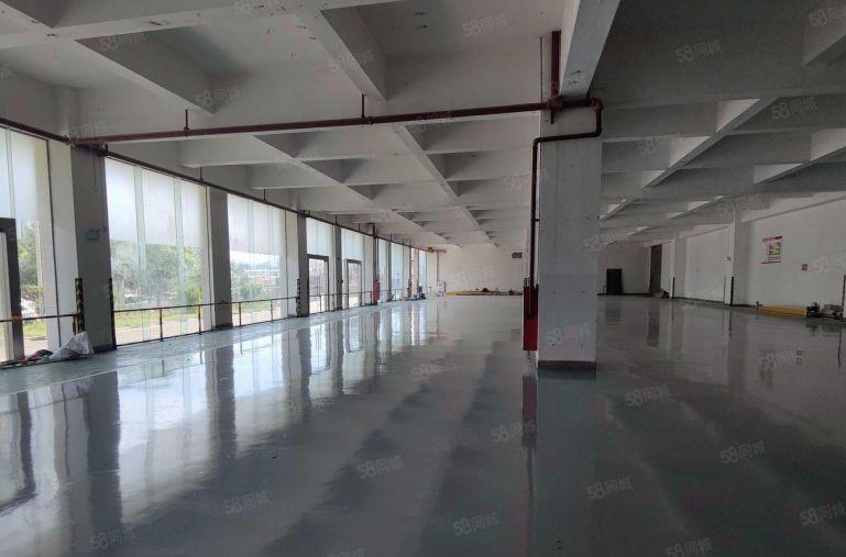 西丽 整栋独门独院原房东5000平方可自由分割 一楼层高6米