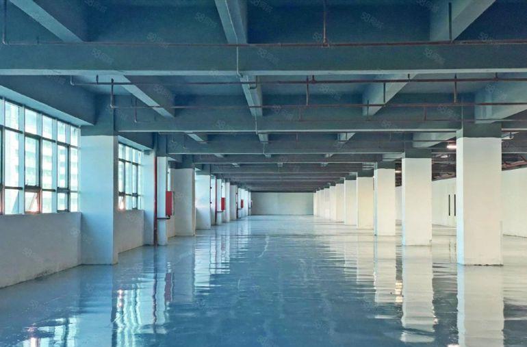 南山西丽高新园 145平至3000平 全新装修可组合租金便宜