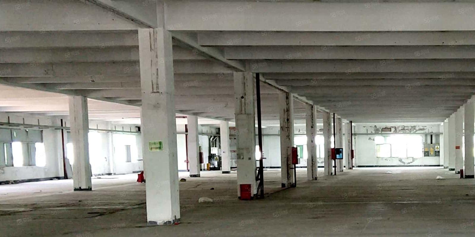 福海国际会展中心6816平方米全新村委厂房业主直租带超大空地