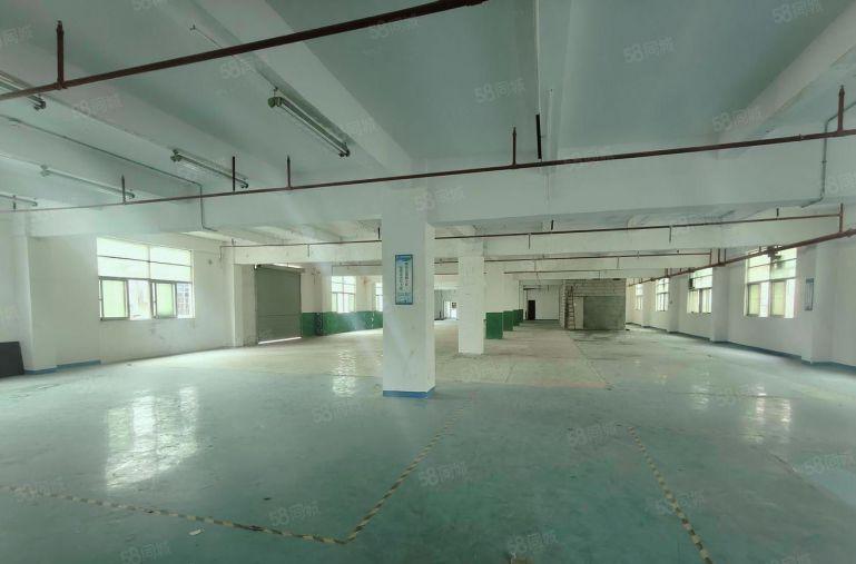 西丽地铁原房东5000平独院厂房出租可分租200平起