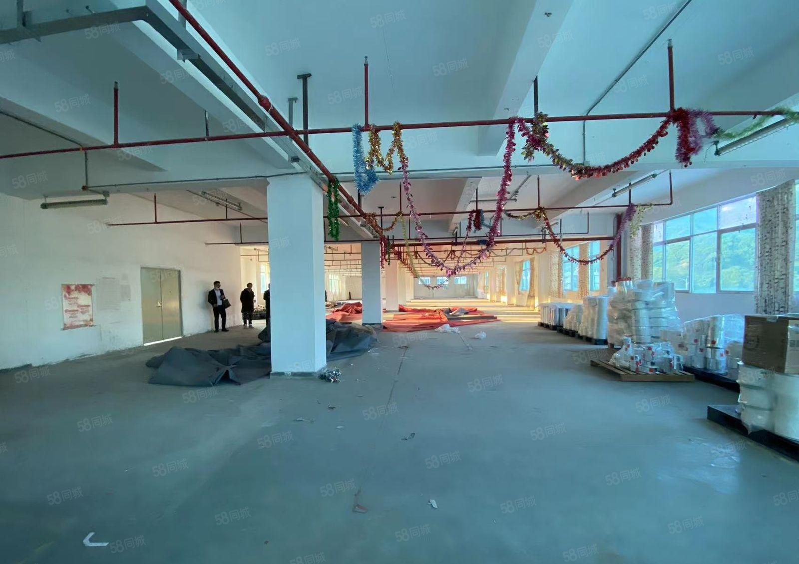 南山西丽麻勘新出原房东整层带喷淋厂房1200平