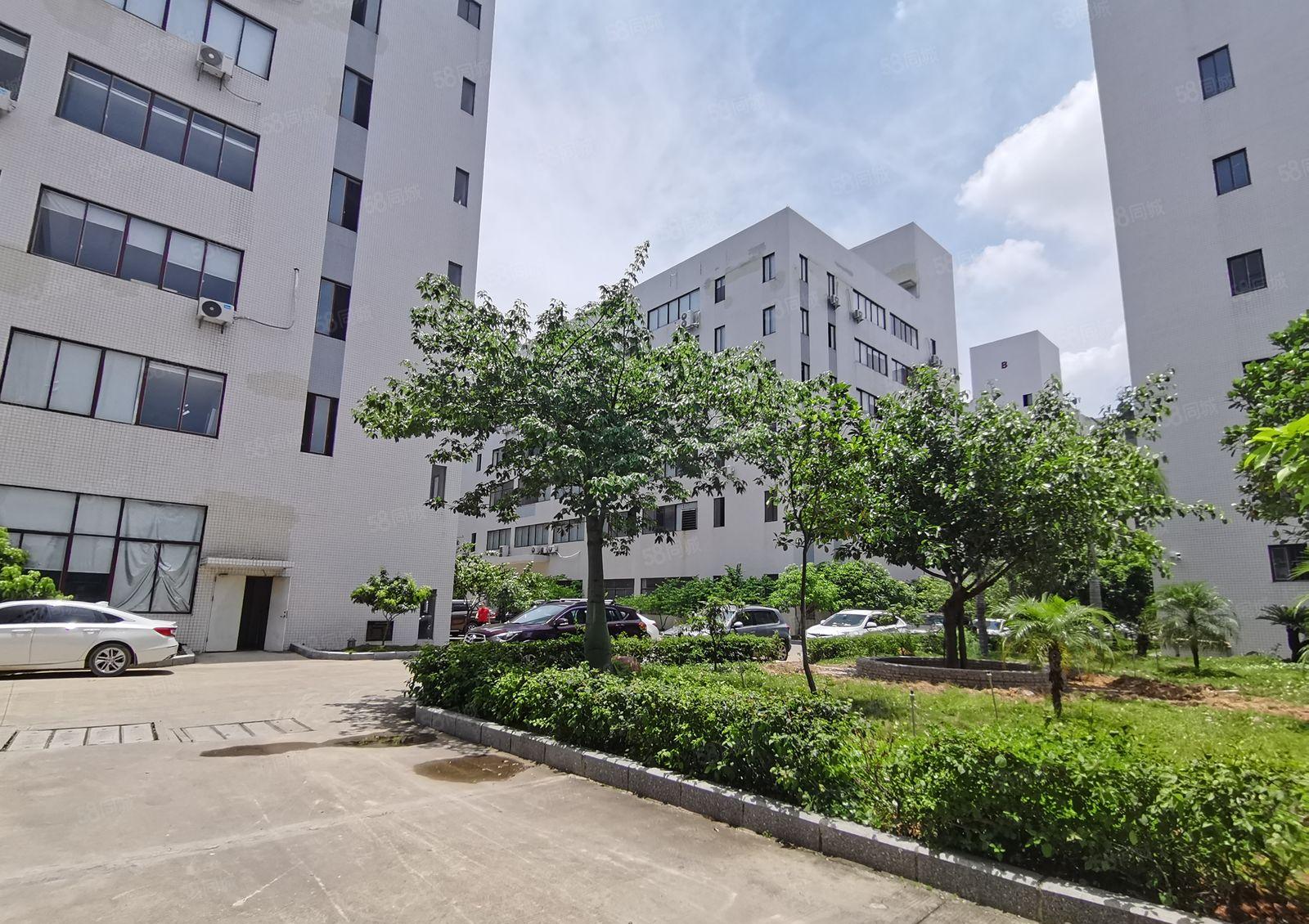 光明12000高新补贴厂 房出租，免租半年1000平起