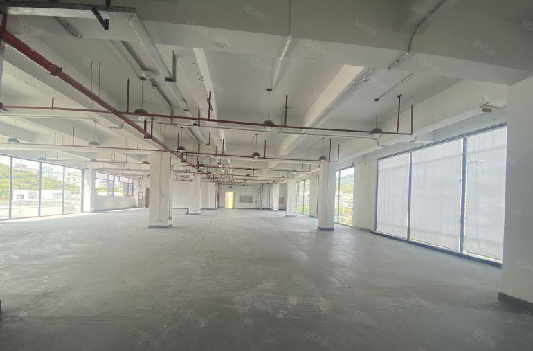 南山西丽创意园整层700平，设计，办公研发，摄影基地