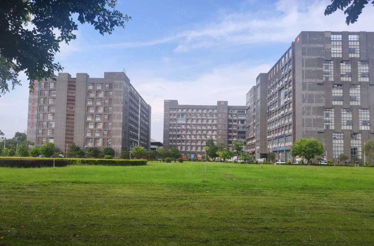 布吉红本花园式办公厂房出租2楼2000平米送精装修可分租