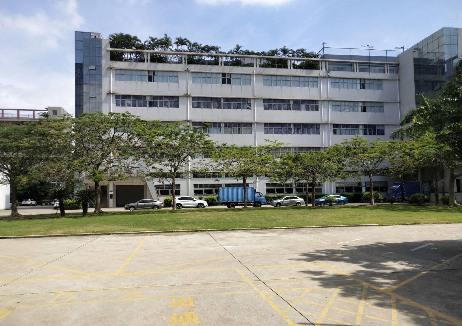 200平起分租南山西丽原房东工业园1000平仓库厂房出租整租