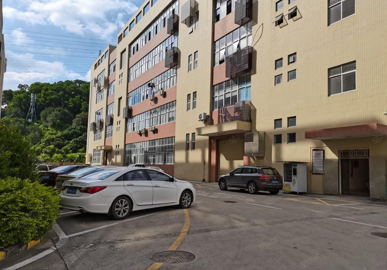 石岩塘头300平至3000平一楼仓库办公室厂房出租分租转租